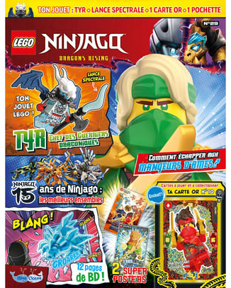 LEGO® Ninjago® | N°29 | Tyr + lance spectrale + 1 carte or + une pochette