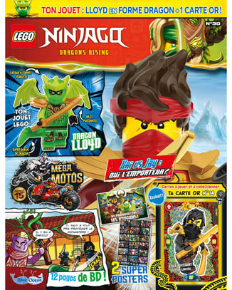 LEGO® Ninjago® | N°30 | Lloyd