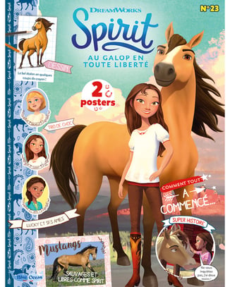 Spirit® | N°23 - Ta boîte à secrets