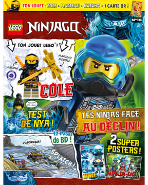 LEGO® Ninjago® | N°15 | Cole + carte OR N°15