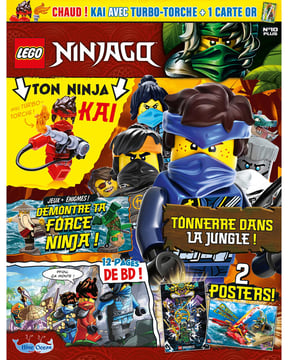 LEGO® Ninjago® | N°10 PLUS