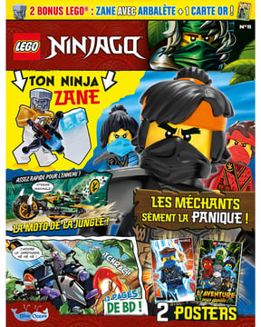 LEGO® Ninjago® | N°11 - Zane