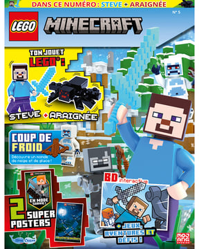 LEGO® Minecraft™ | N°5 | Steve + Araignée