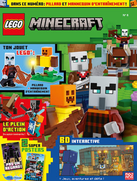 LEGO® Minecraft™ | N°8 | Pillard + mannequin d'entraînement