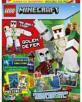 LEGO® Minecraft™ | N°3 | Golem de Fer