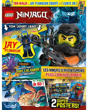 LEGO® Ninjago® | N°12 PLUS