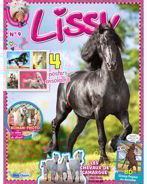 Lissy | N°9 - Le journal intime