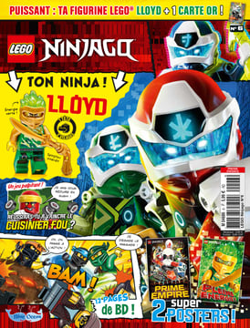 LEGO® Ninjago®  | N°6