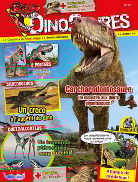 Dinosaures | N°13 | Un super œuf de dino ! 1 sur 12 figurines