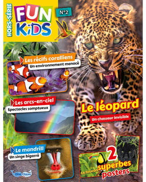 Fun Kids HS - n°2H - Caméléons