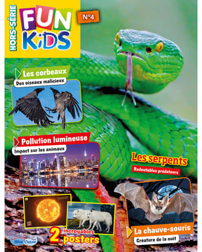 Fun Kids HS - n°4H - 1 serpent à collectionner