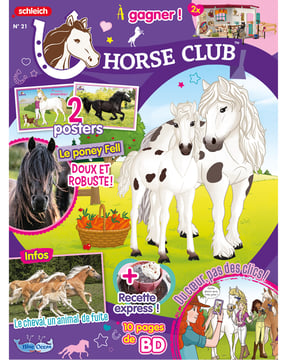 Horse Club® N°21 | Le poney Fell