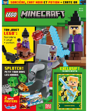LEGO® Minecraft™ | N°11 Plus | Sorcière, chat noir et potion + carte or