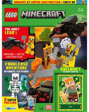 LEGO® Minecraft™ | N°12 Super | Araignée + maître constructeur + carte or