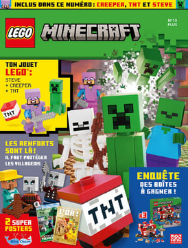 LEGO® Minecraft™ | N°13 Plus | Creeper, TNT + Steve