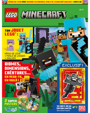 LEGO® Minecraft™ | N°17 | Héros de l'end avec armure + carte or