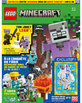 LEGO® Minecraft™ | N°17 Plus |Chevalier vagabond + biome enneigé 