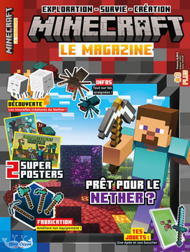 Minecraft | N°3 Plus | Une épée et son bouclier
