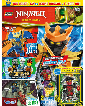 LEGO® Ninjago® | N°29 PLUS | JAY