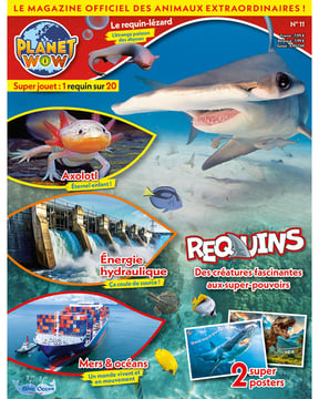 Planet WOW - n°11 - Le requin-lézard 