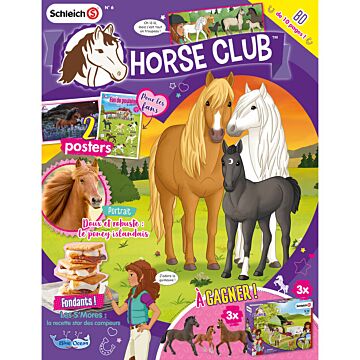 Horse Club® N°6 | Le poney islandais Moon