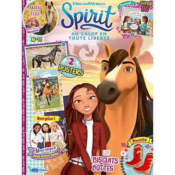 Spirit® | N°11 - Journal intime