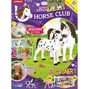 Horse Club® Plus N°10 | Le Falabella Pip