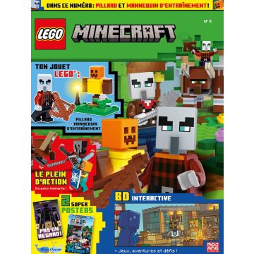 LEGO® Minecraft™ | N°8 | Pillard + mannequin d'entraînement