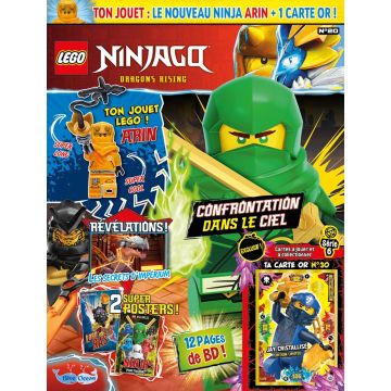 LEGO® Ninjago® | N°20 | Arin + 1 carte or
