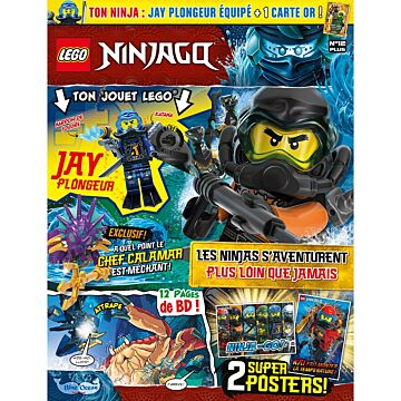 LEGO® Ninjago® | N°12 PLUS