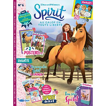 Spirit® | N°6 - Mène l'enquête