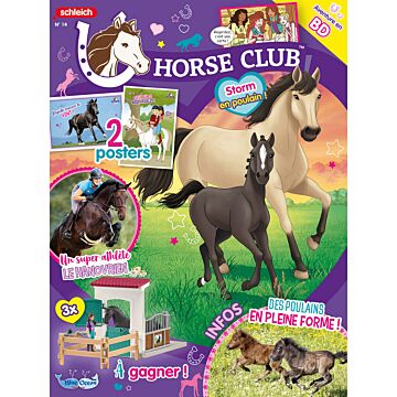 Horse Club® N°14 | Storm en poulain