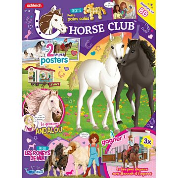 Horse Club® N°16 | Blossom en poulain
