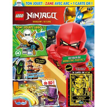 LEGO® Ninjago® | N°21 | Zane + 1 carte or