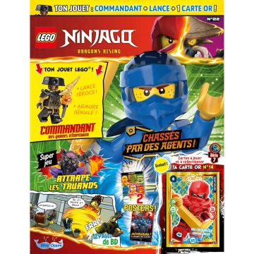 LEGO® Ninjago® | N°22 | Commandant des gardes d'Impérium + 1 carte or