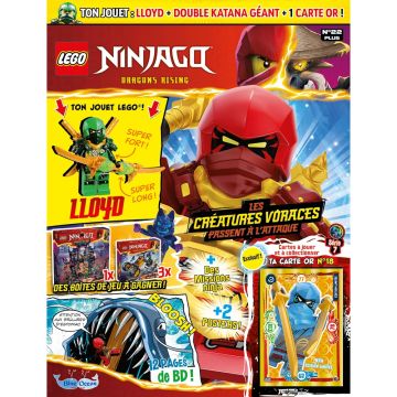 LEGO® Ninjago® | N°22 PLUS | LLoyd + 1 carte or 