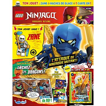 LEGO® Ninjago® | N°24 | Zane