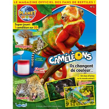 Planet WOW -  n°3 - Caméléons 