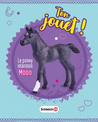 Horse Club® N°6 | Le poney islandais Moon
