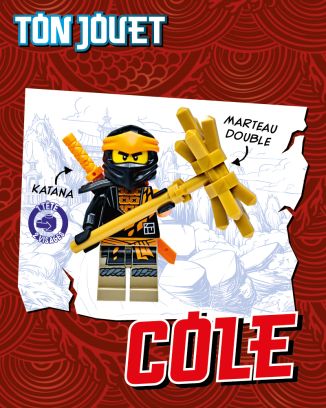 LEGO® Ninjago® | N°15 | Cole + carte OR N°15