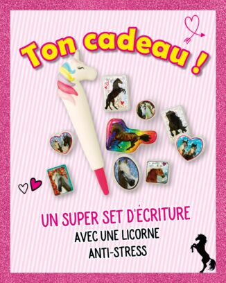 Lissy | N°15 - Un super set d'écriture + une licorne anti-stress