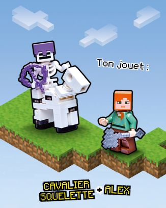 LEGO® Minecraft™ | N°4 Plus | Cavalier squelette + Alex