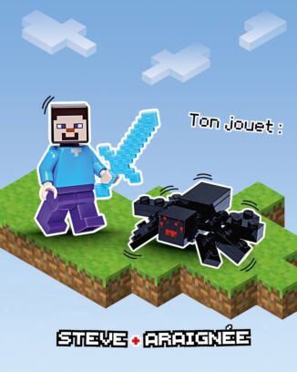 LEGO® Minecraft™ | N°5 | Steve + Araignée