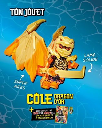 LEGO® Ninjago® | N°18 | Cole Dragon d'Or