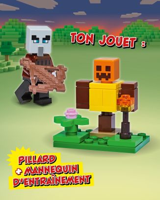 LEGO® Minecraft™ | N°8 | Pillard + mannequin d'entraînement