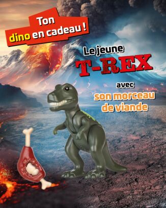 PLAYMOBIL Mag  | N°21 - Mission dans la jungle