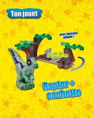 LEGO® Jurassic World™ PLUS | N°5