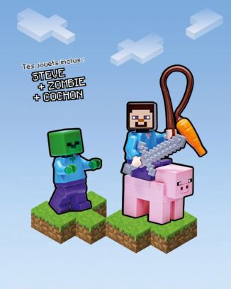 LEGO® Minecraft™ | N°1