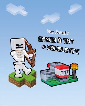 LEGO® Minecraft™ | N°2 | Squelette + Canon à TNT
