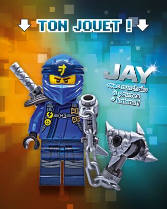 LEGO® Ninjago® | N°7 PLUS